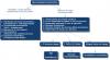 Miocardiopatía hipertrófica: identificación y tratamiento de los pacientes con riesgo de muerte súbita