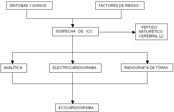 ecocardiograma de insuficiencia cardiaca