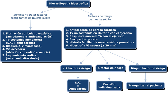MIOCARDIOPATIA_HIPERTROFICA