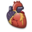 Aula de Cardiología